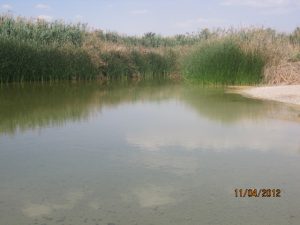 National Parks in Israel - Einot Zukim