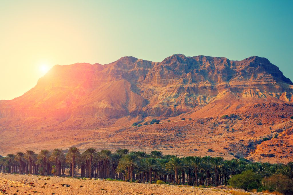 Judean desert in Israel at sunset- NES mobile
