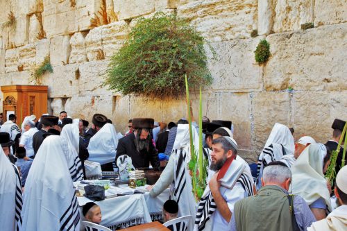 Sukkot in Israel