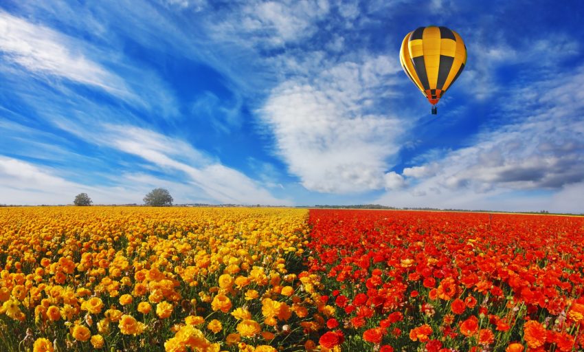 hot air balloon tours in Israel - Nes Mobile