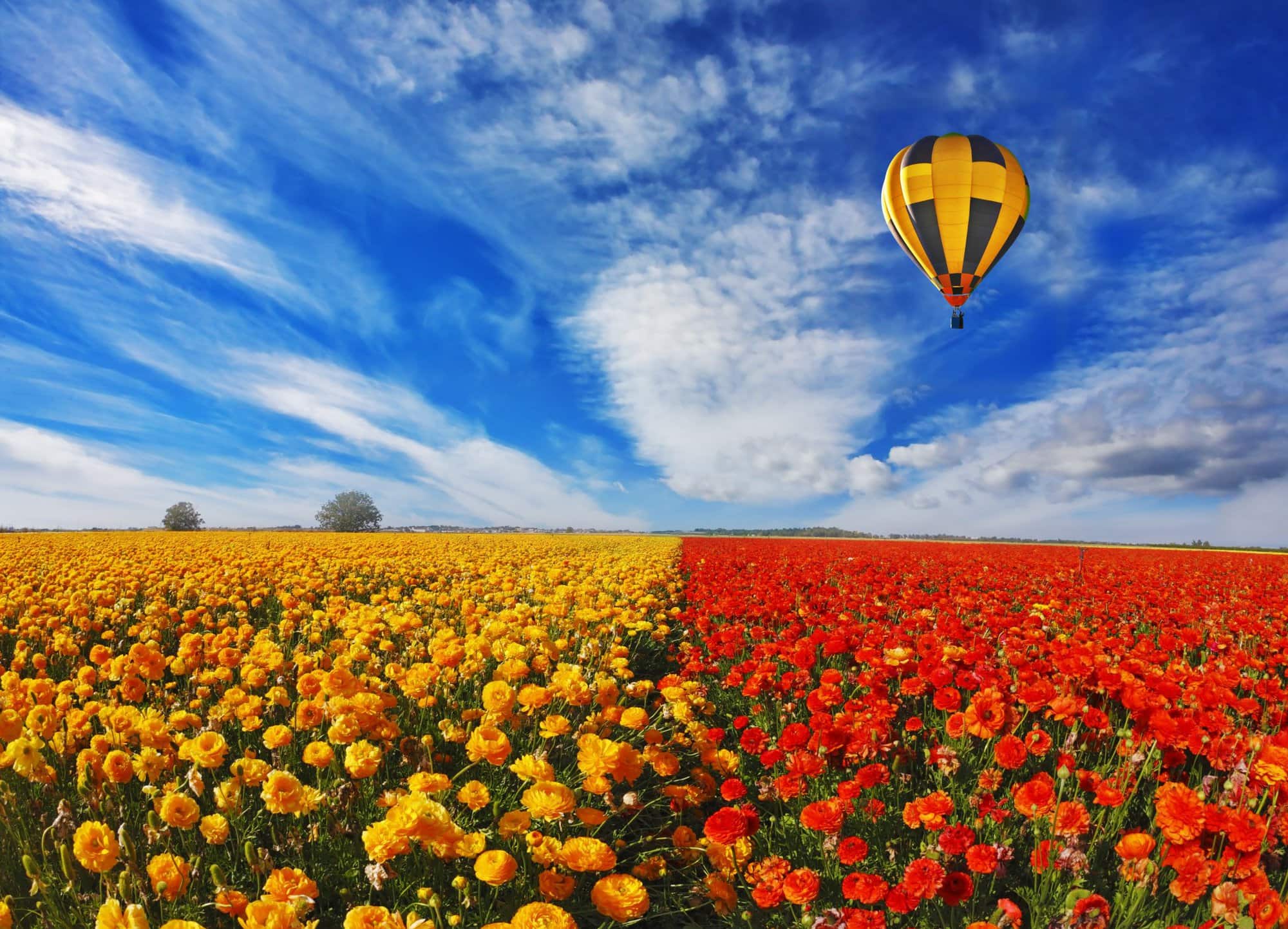 Hot air balloon tours in Israel - Nes Mobile Israel SIM Cards